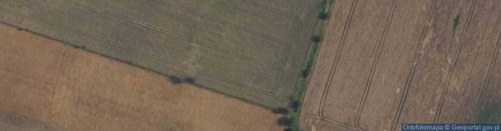 Zdjęcie satelitarne Renesansowa ul.