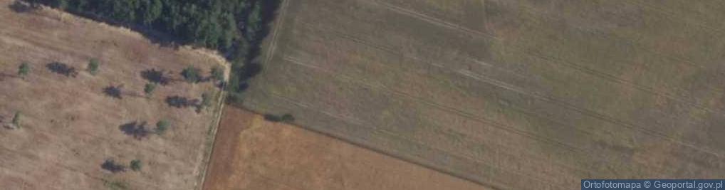 Zdjęcie satelitarne Renesansowa ul.