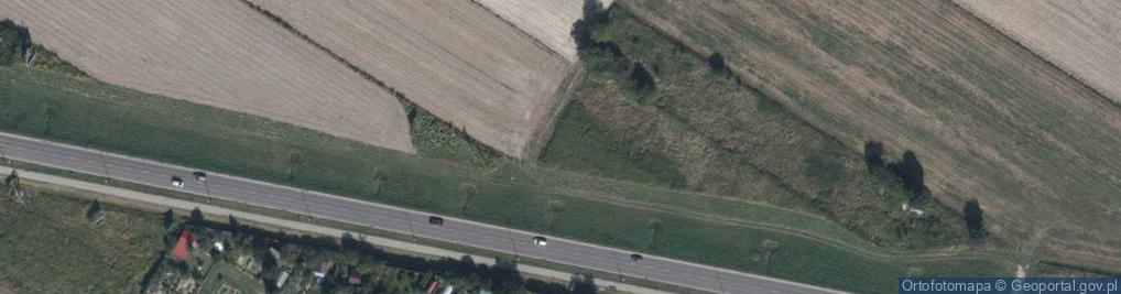 Zdjęcie satelitarne Rejkowizna ul.