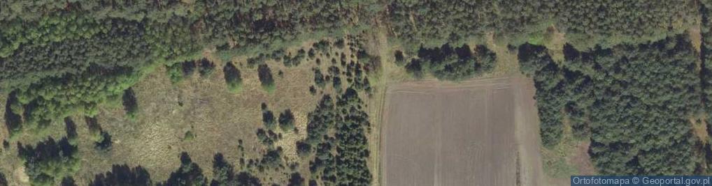 Zdjęcie satelitarne Różana ul.