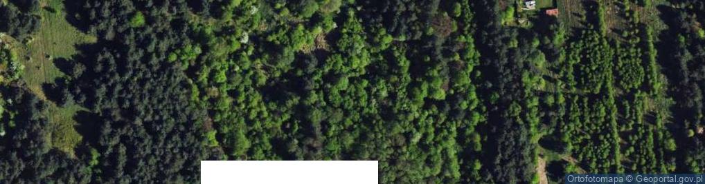 Zdjęcie satelitarne Roztoczańska ul.