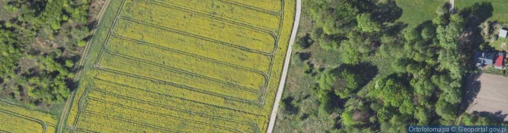 Zdjęcie satelitarne Rolna ul.