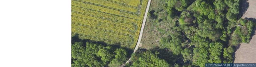 Zdjęcie satelitarne Rolna ul.