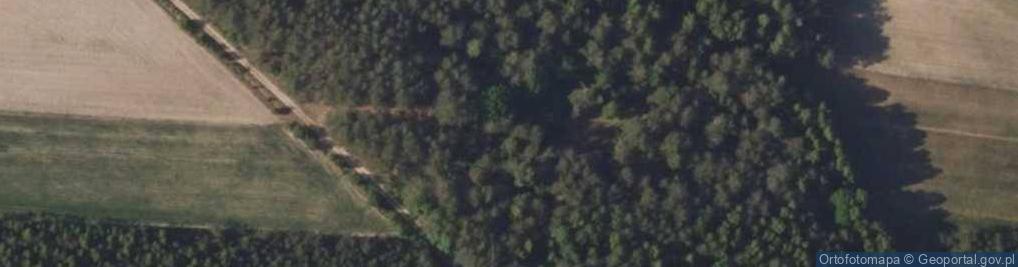 Zdjęcie satelitarne Rogacze ul.