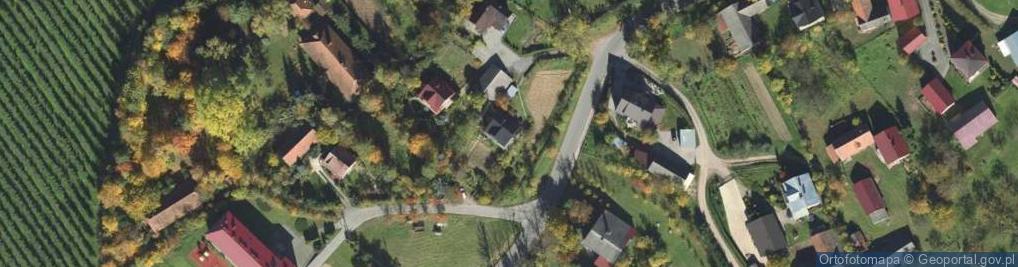 Zdjęcie satelitarne Rogi ul.