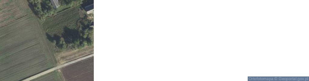 Zdjęcie satelitarne Rogów ul.