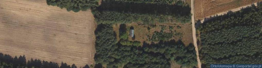 Zdjęcie satelitarne Rogówko ul.