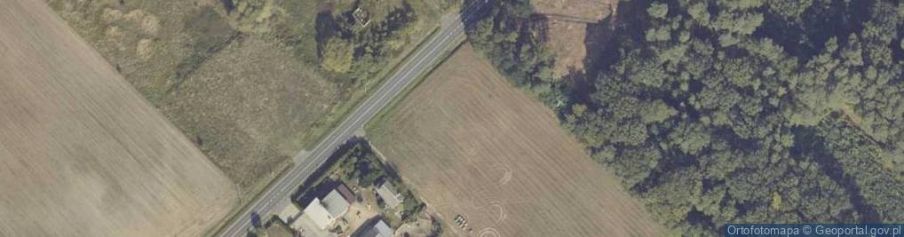 Zdjęcie satelitarne Rogóźno ul.