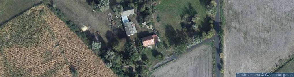 Zdjęcie satelitarne Rojewice ul.