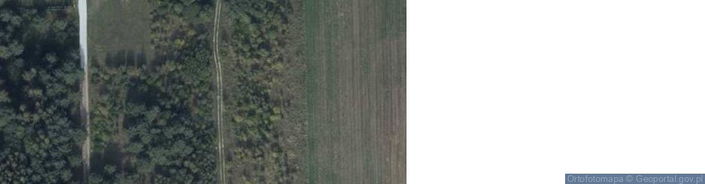 Zdjęcie satelitarne Rościnno ul.