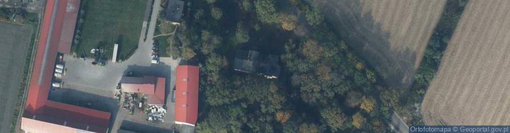 Zdjęcie satelitarne Roszkówko ul.