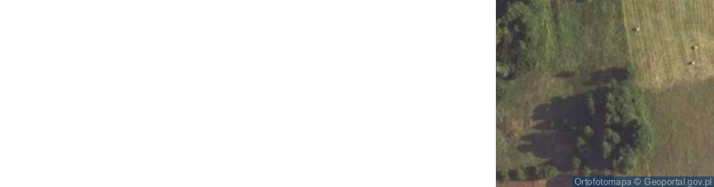 Zdjęcie satelitarne Rowy ul.