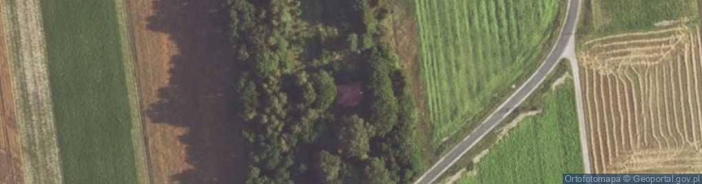 Zdjęcie satelitarne Rowy ul.