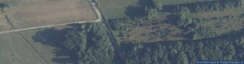Zdjęcie satelitarne Rozalin ul.