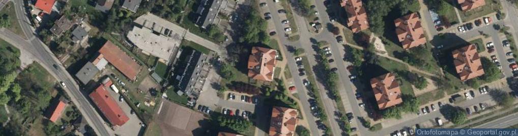 Zdjęcie satelitarne Rodzynkowa ul.