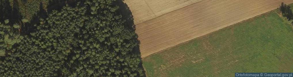 Zdjęcie satelitarne Rudziska ul.