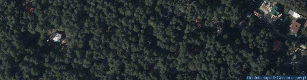 Zdjęcie satelitarne Runa Leśnego ul.