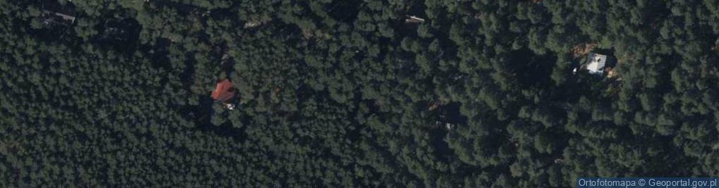 Zdjęcie satelitarne Runa Leśnego ul.
