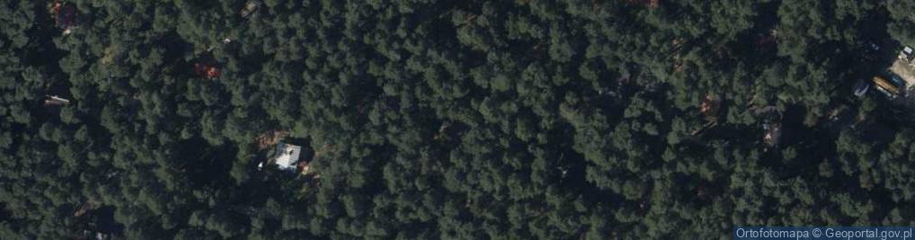 Zdjęcie satelitarne Runa Leśnego ul.