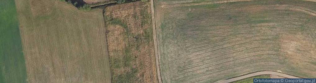 Zdjęcie satelitarne Rumunki Witkowskie ul.