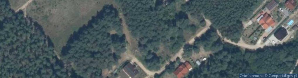 Zdjęcie satelitarne Ruś ul.