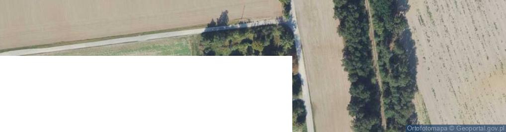 Zdjęcie satelitarne Rusiec ul.