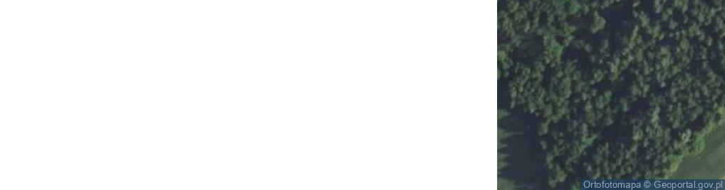 Zdjęcie satelitarne Rutki Nowe ul.