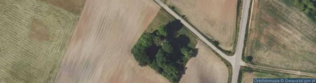 Zdjęcie satelitarne Rutki Nowe ul.