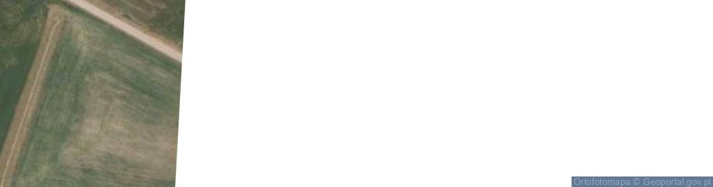 Zdjęcie satelitarne Rutkowskie Duże ul.