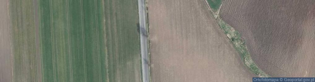 Zdjęcie satelitarne Rusinowicka ul.