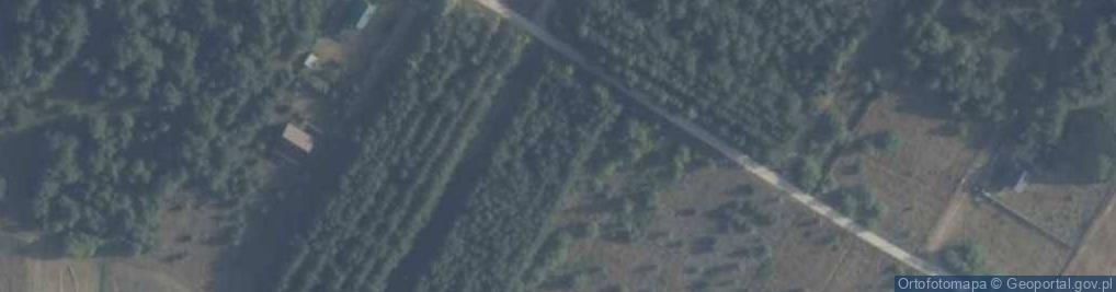 Zdjęcie satelitarne Ruda ul.