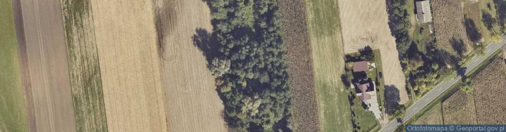Zdjęcie satelitarne Rutkowice ul.
