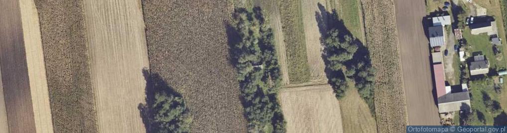 Zdjęcie satelitarne Rutkowice ul.