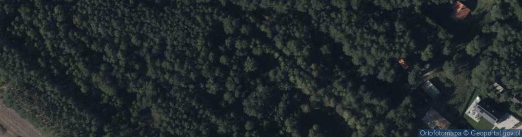 Zdjęcie satelitarne Rutki ul.