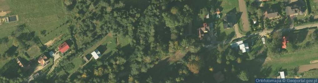 Zdjęcie satelitarne Ryszki Ludwika ul.