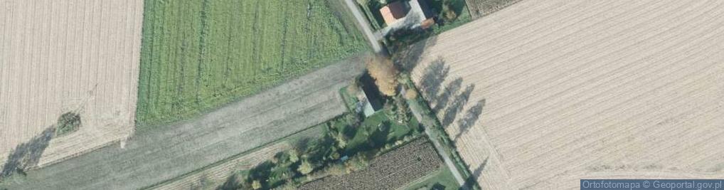 Zdjęcie satelitarne Rybitwy ul.