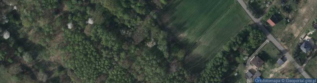 Zdjęcie satelitarne Rybnicka ul.