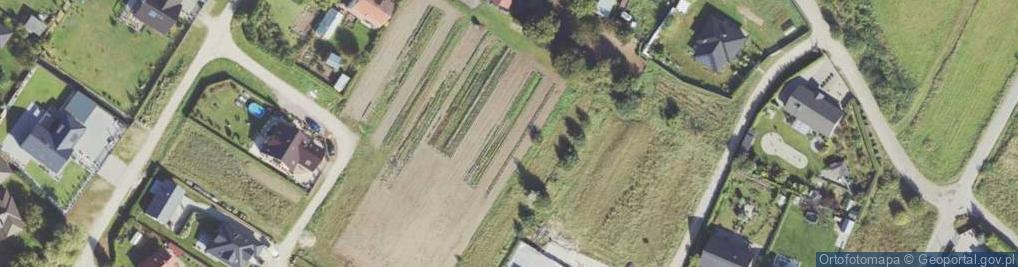 Zdjęcie satelitarne Rydzów ul.