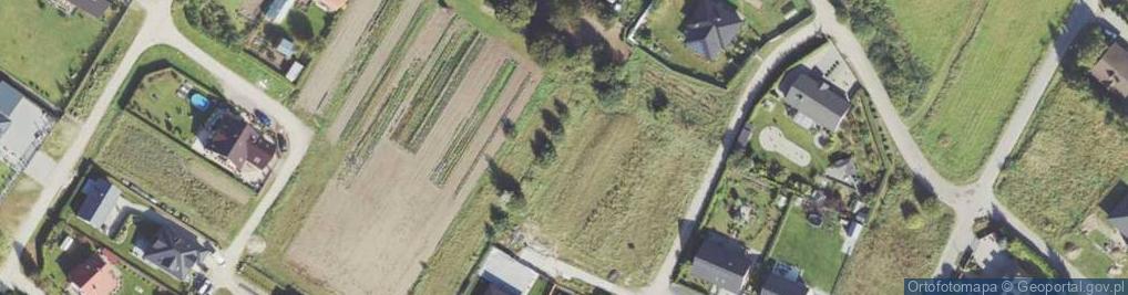 Zdjęcie satelitarne Rydzów ul.