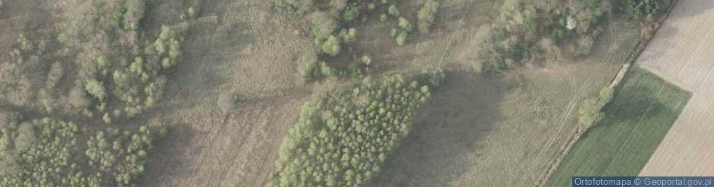 Zdjęcie satelitarne Ryska ul.