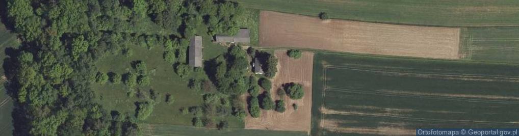 Zdjęcie satelitarne Rybczewice Drugie ul.