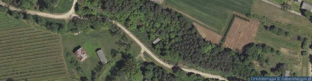 Zdjęcie satelitarne Rybczewice Drugie ul.