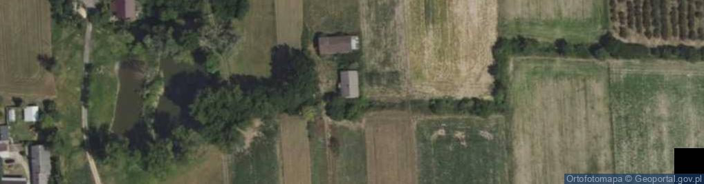 Zdjęcie satelitarne Rybie ul.