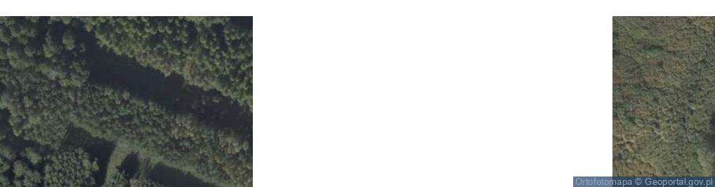 Zdjęcie satelitarne Rybie ul.