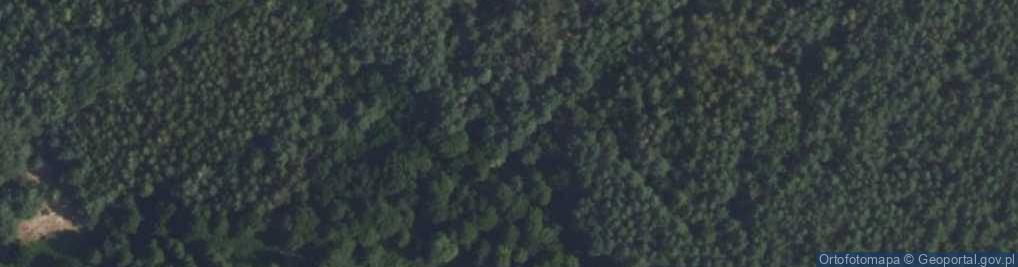 Zdjęcie satelitarne Rybitew ul.