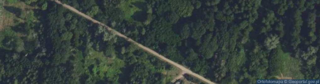 Zdjęcie satelitarne Rybitew ul.