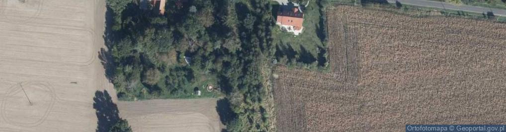 Zdjęcie satelitarne Rybitwy ul.