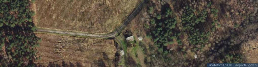 Zdjęcie satelitarne Rybno ul.