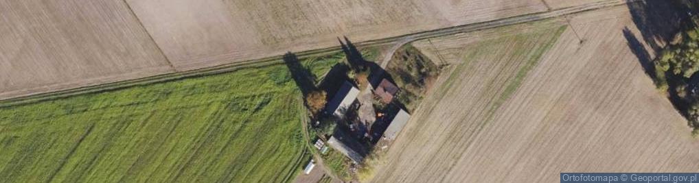 Zdjęcie satelitarne Rybno ul.