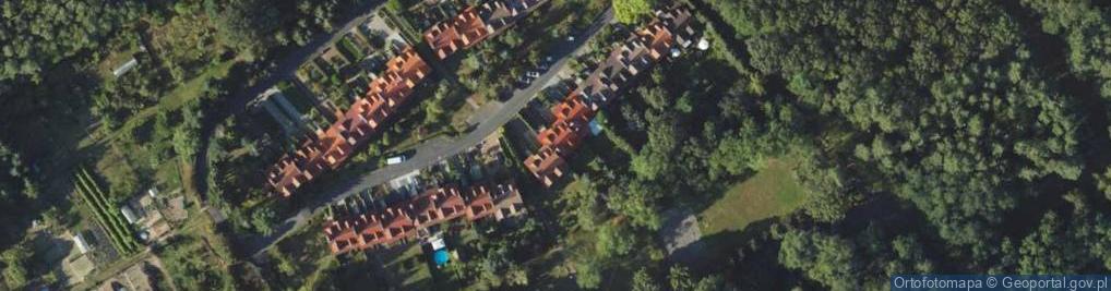 Zdjęcie satelitarne Rybno ul.
